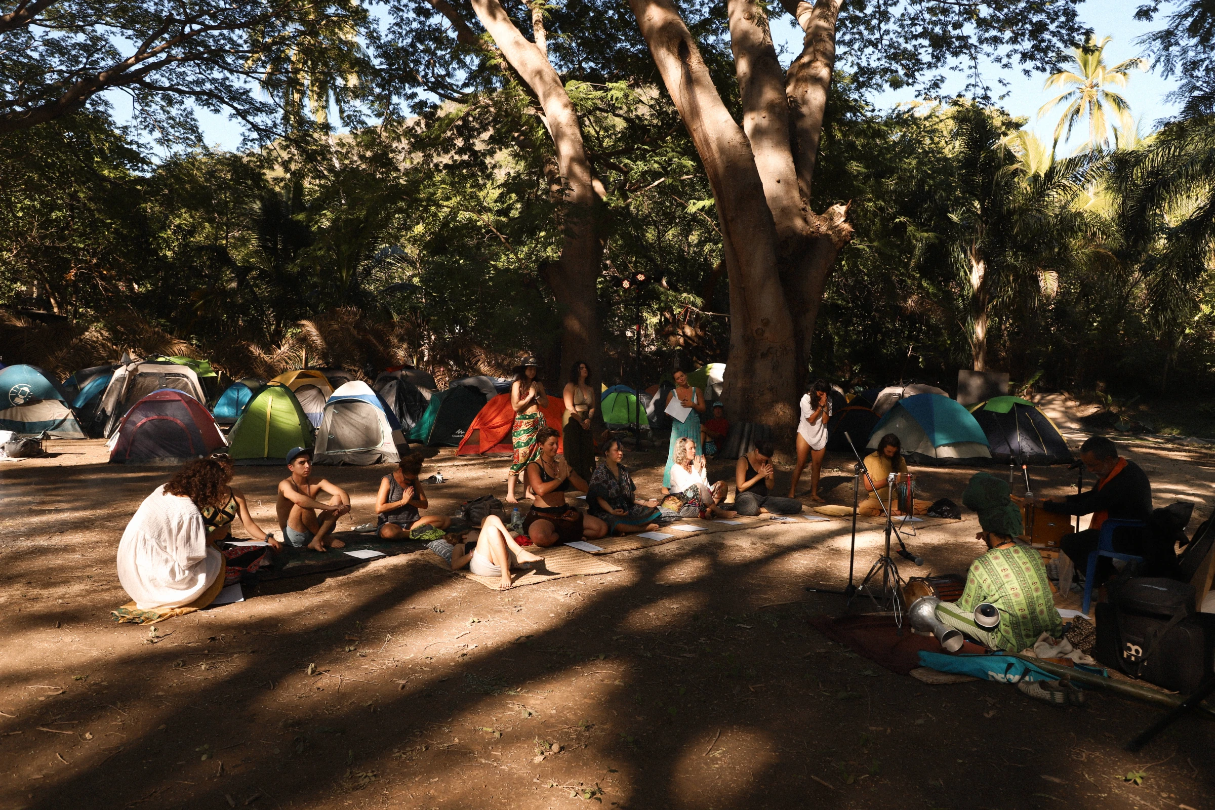 Zona de campamento bajo los árboles en Yelapa