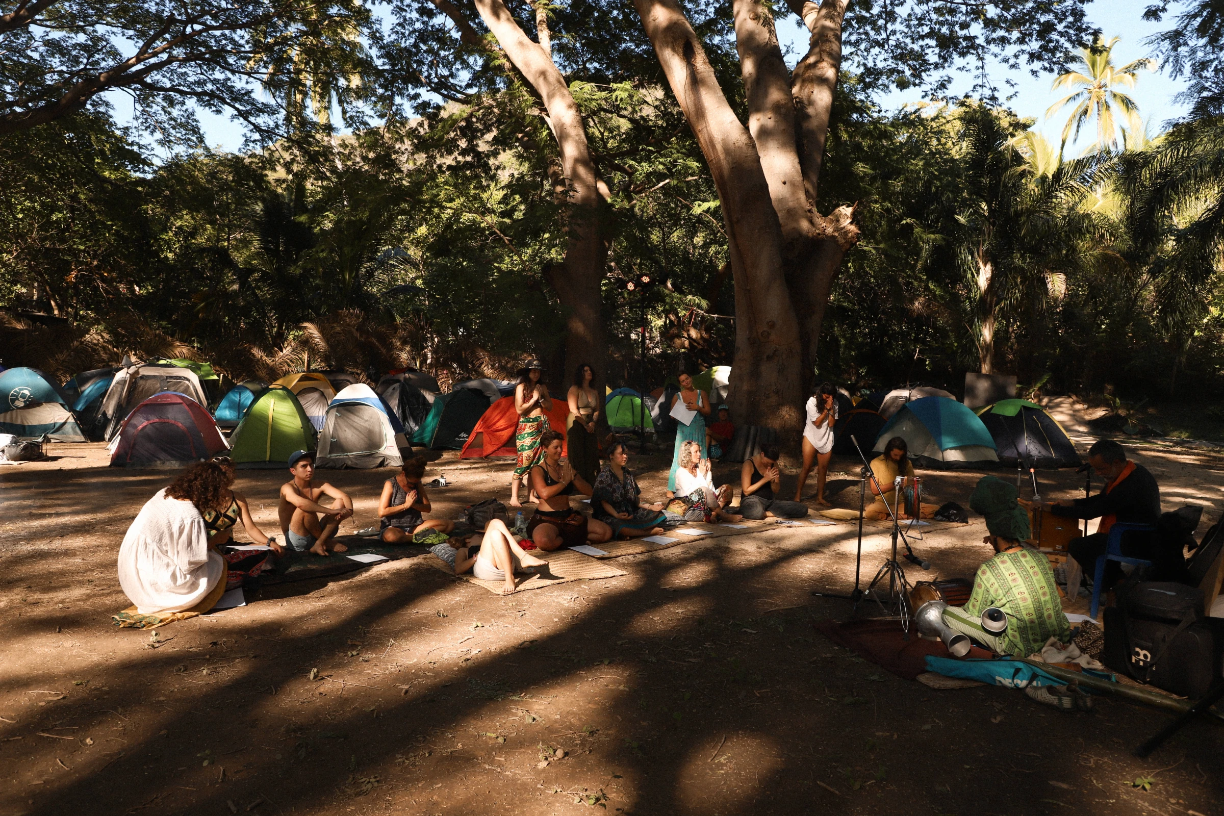 Un encuentro bajo la sombra de los árboles
